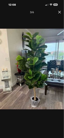 Pretty artificial plant 6 ft tall Fig tree with 184 leaves! Brand New