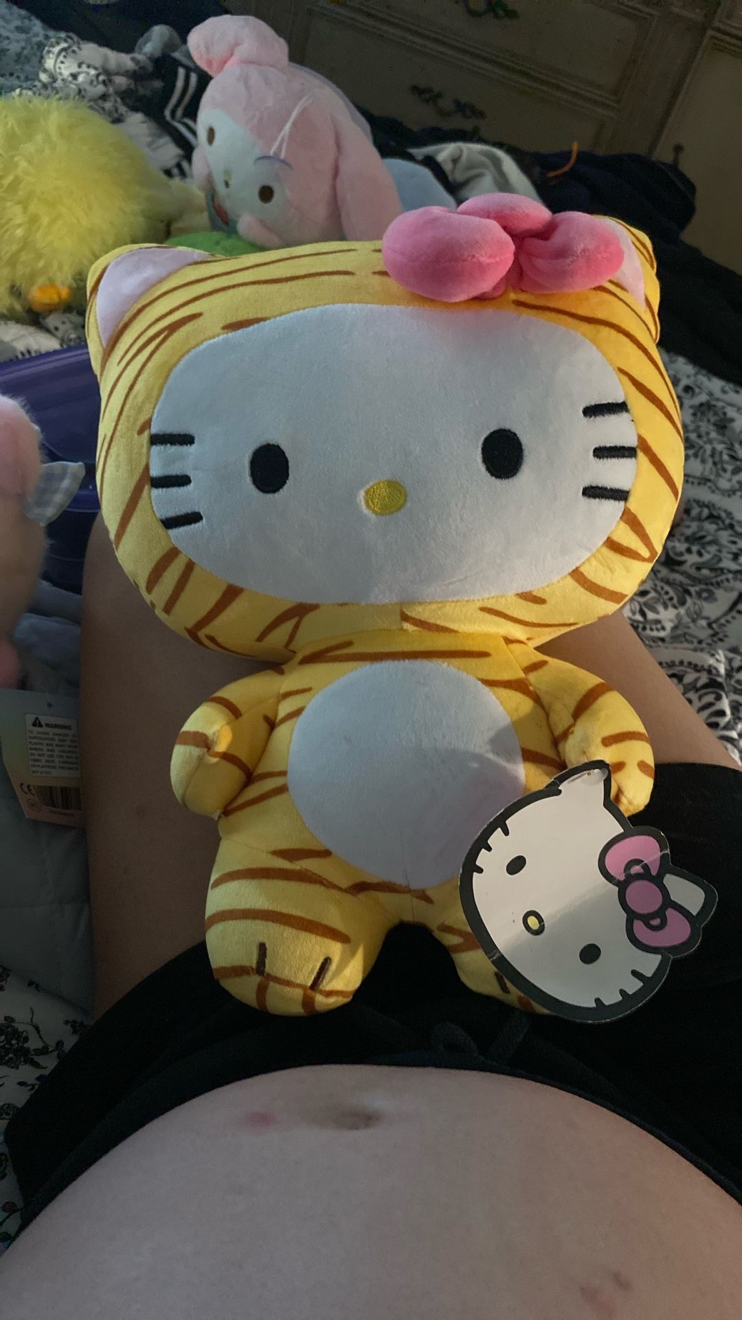 Hello Kitty Plushie