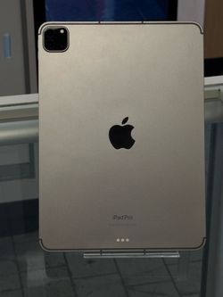 iPad Pro 4th Gen 256GB LTE