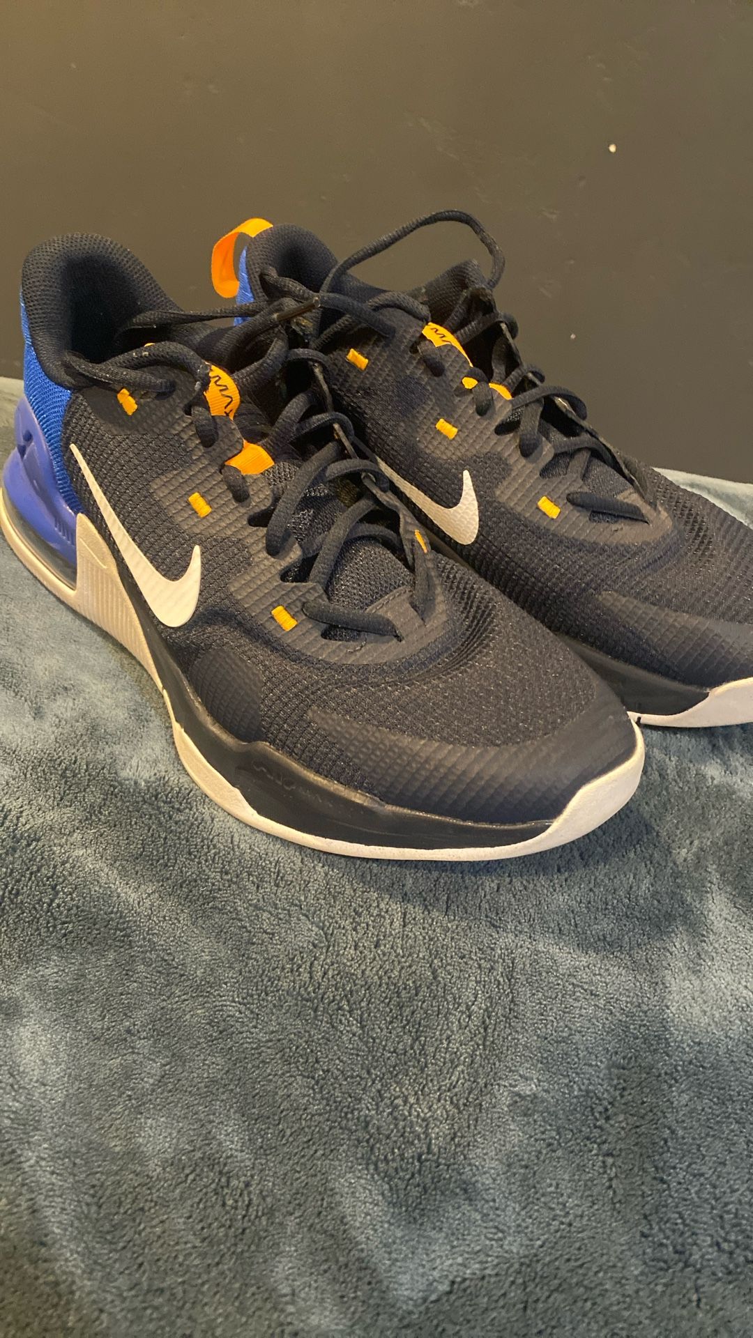 Nike Men's Air Max Alpha Trainer 5 Shoes
