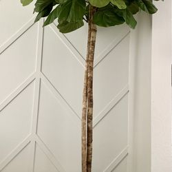 Big White Planter Pot (Hard Plastic)