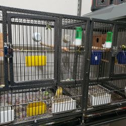 Breeding Cage With Stand