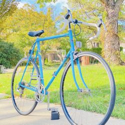 27” Fuji Sagres  / 12-Speed Road Bike 🚴‍♂️ 