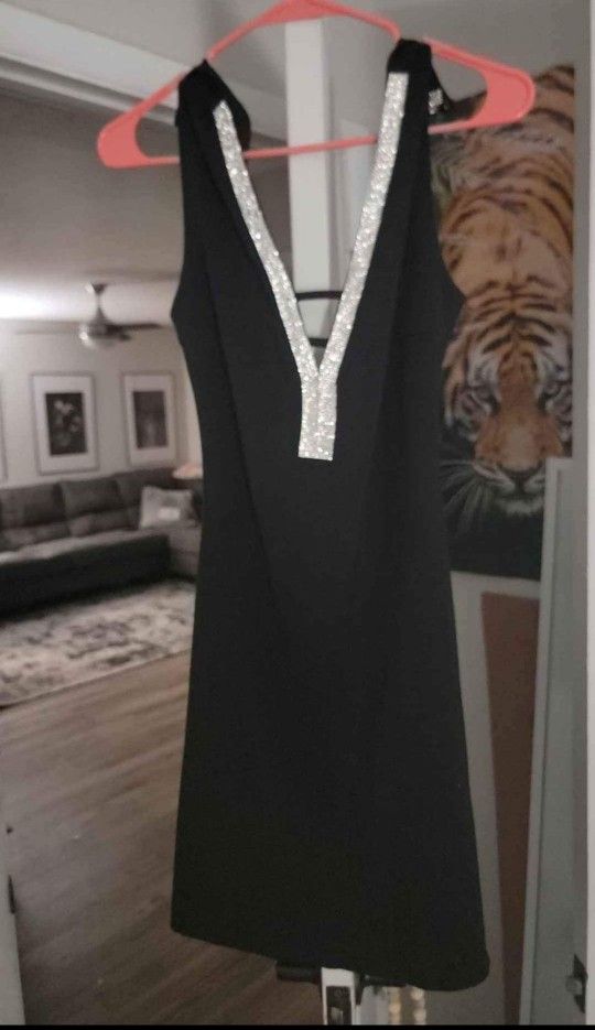 Beautiful Black Beauty Dress