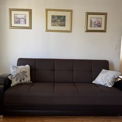 Two Sleeper Sofas For Sale 