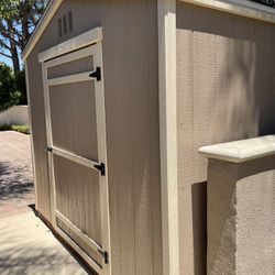 Shed 6x10x8 