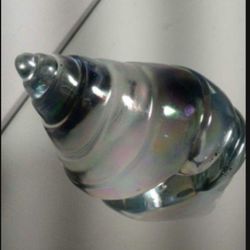 VINTAGE ART GLASS SHELL PAPERWEIGHT 4.5"×3.5" - A64