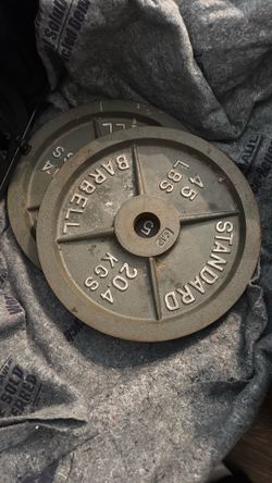 45 lb Plates
