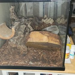 Big Reptile Tank