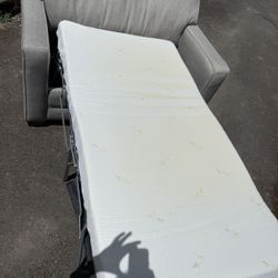 Nice Costco Pull Out Hide A Bed Couch Loveseat Can Deliver 