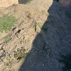 FREE Dirt