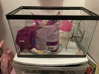 Hamster Stuff