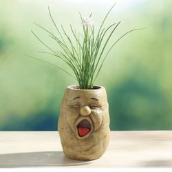 Creative Smiling Vegetable Garden Planter, 4 Styles to Choose from