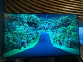 100hz dell monitor