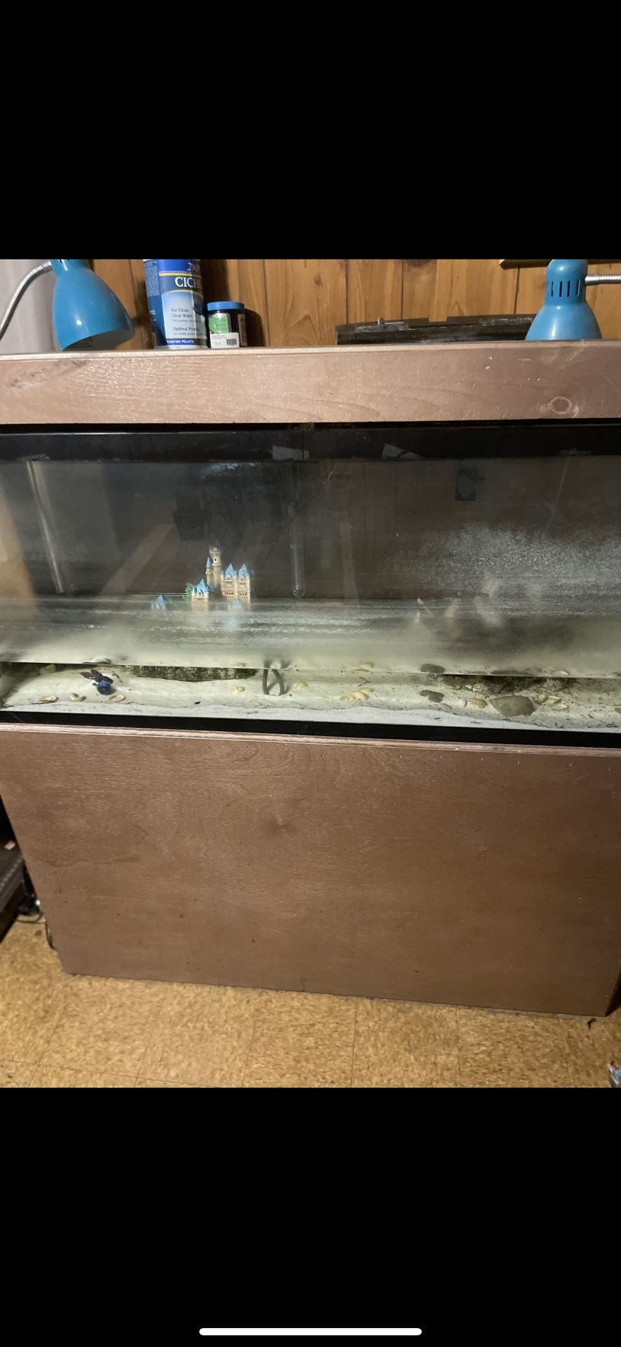 50 Gallon Tank 200