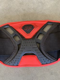 Fox  Riding  Back Support 