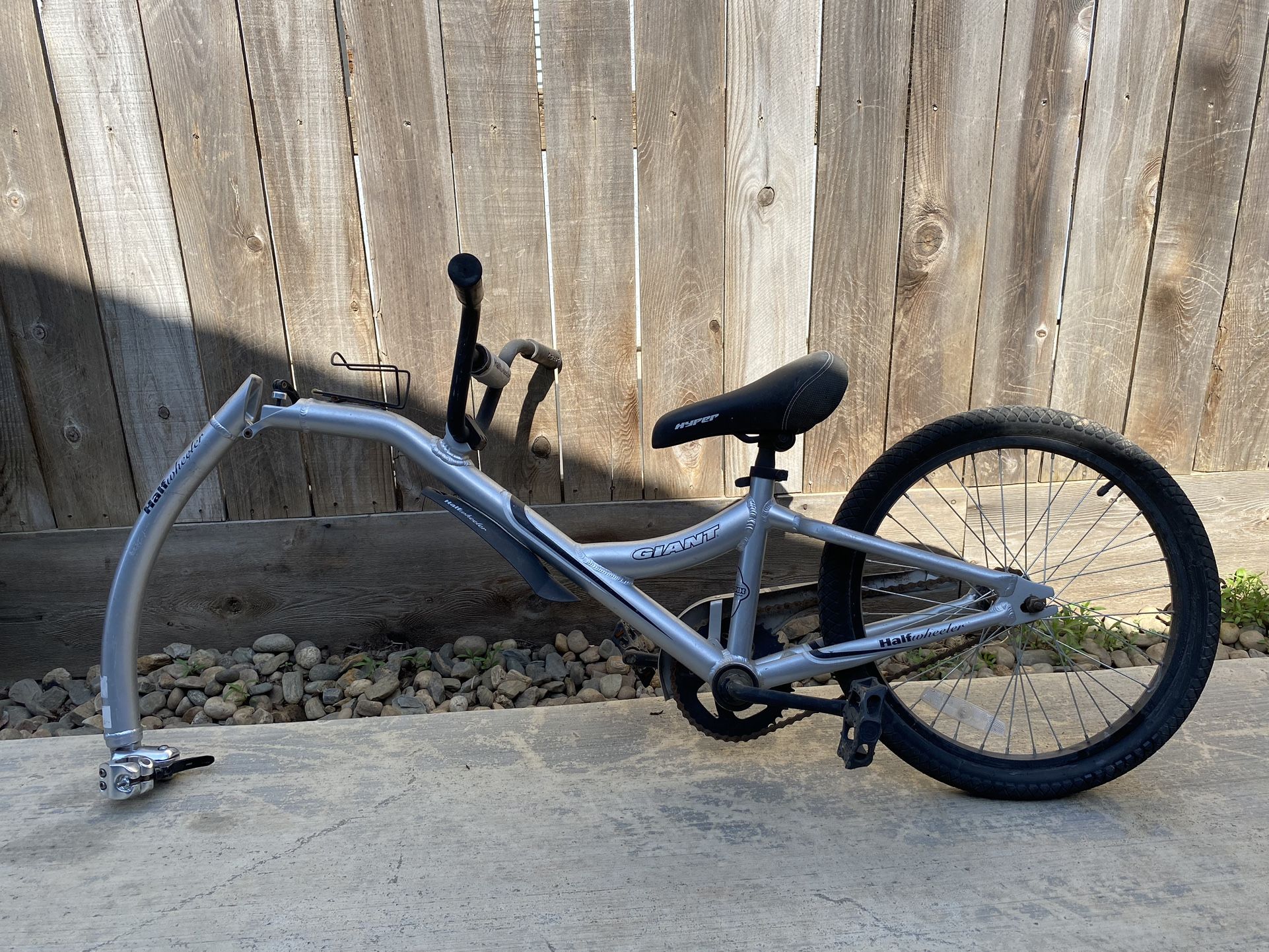 Giant tag along deals bike