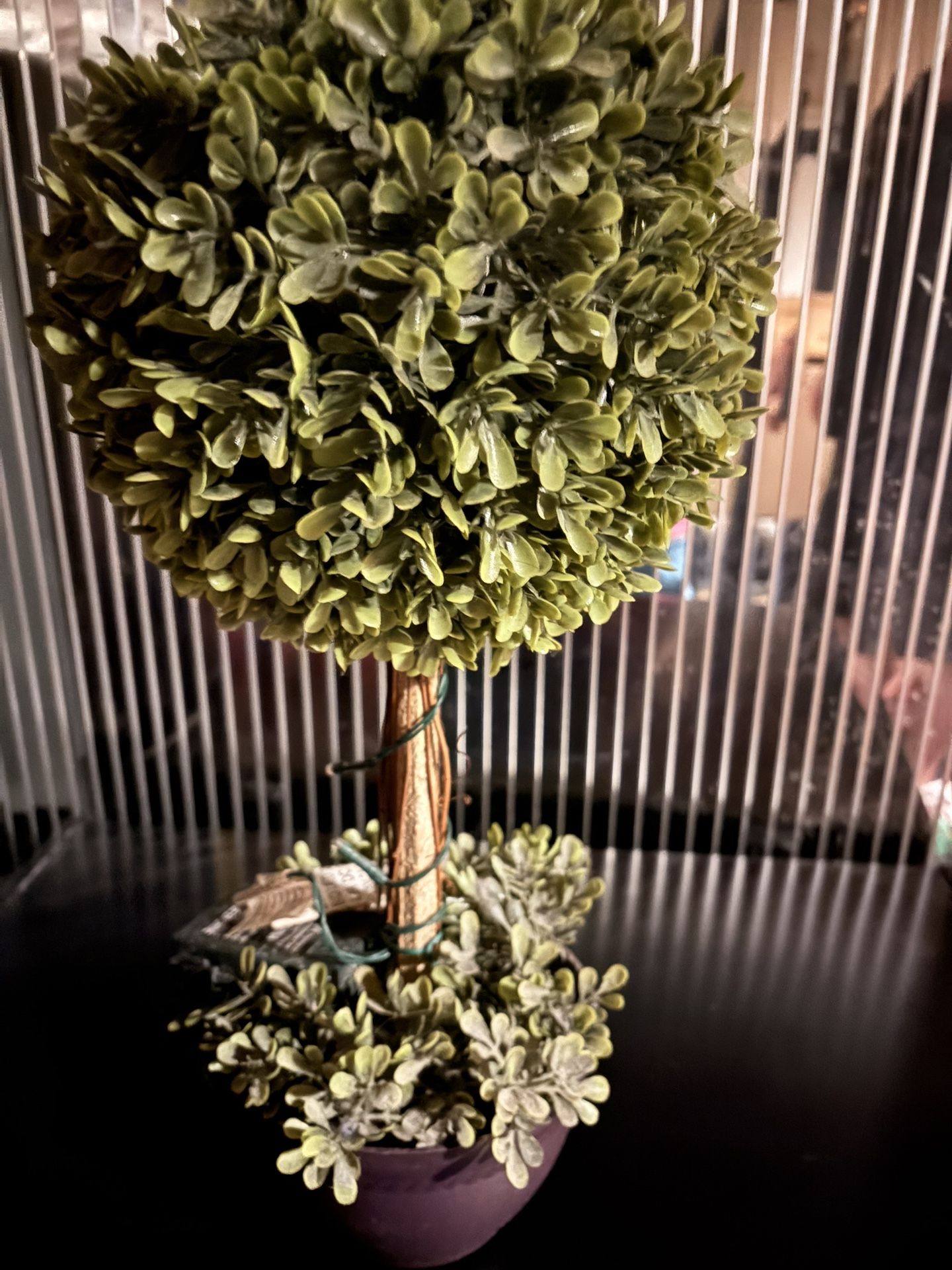 LIGHT UP TOPIARY ARTIFICAL PLANT REMOTE CONTROL PLANT!