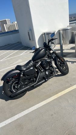2021 Iron 883 Harley Sportster