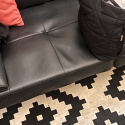 Fold Out Futon/coach