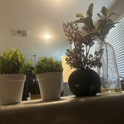 5 Fake Plants Decor 