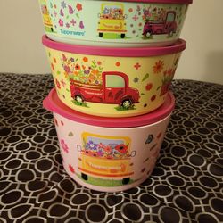 New Tupperware Set