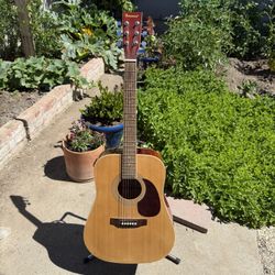 Acoustic Electric Guitar 🎸 