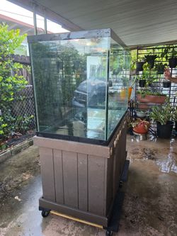 160 Gallon Fish tank