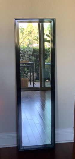 Full Length Black Mirror  (50"x 14”)