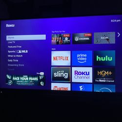 Vizio TV 