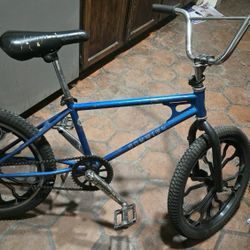 Schwinn Scrambler