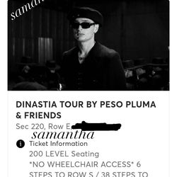 Dinastía Tour Peso Pluma