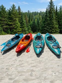 3 Pelican & 1 Perception  Kayaks