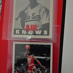 The Air Knows Collection Micheal Jordan With Rare Rookie Baseball Card 
