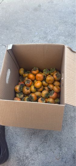 Organic persimmons
