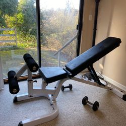 Baby-solid Work out Bench