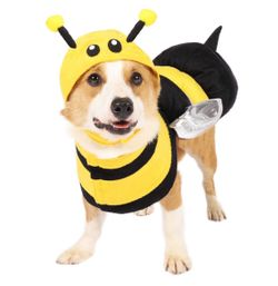 Bumble Bee Dog Halloween Costume