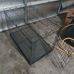 Big Dog Kennel 
