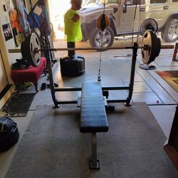 Olympic Bar, Bench,Weight/Bar Holder And Weights