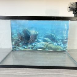 Fish Tank with Automatic Food Feeder – Great Condition