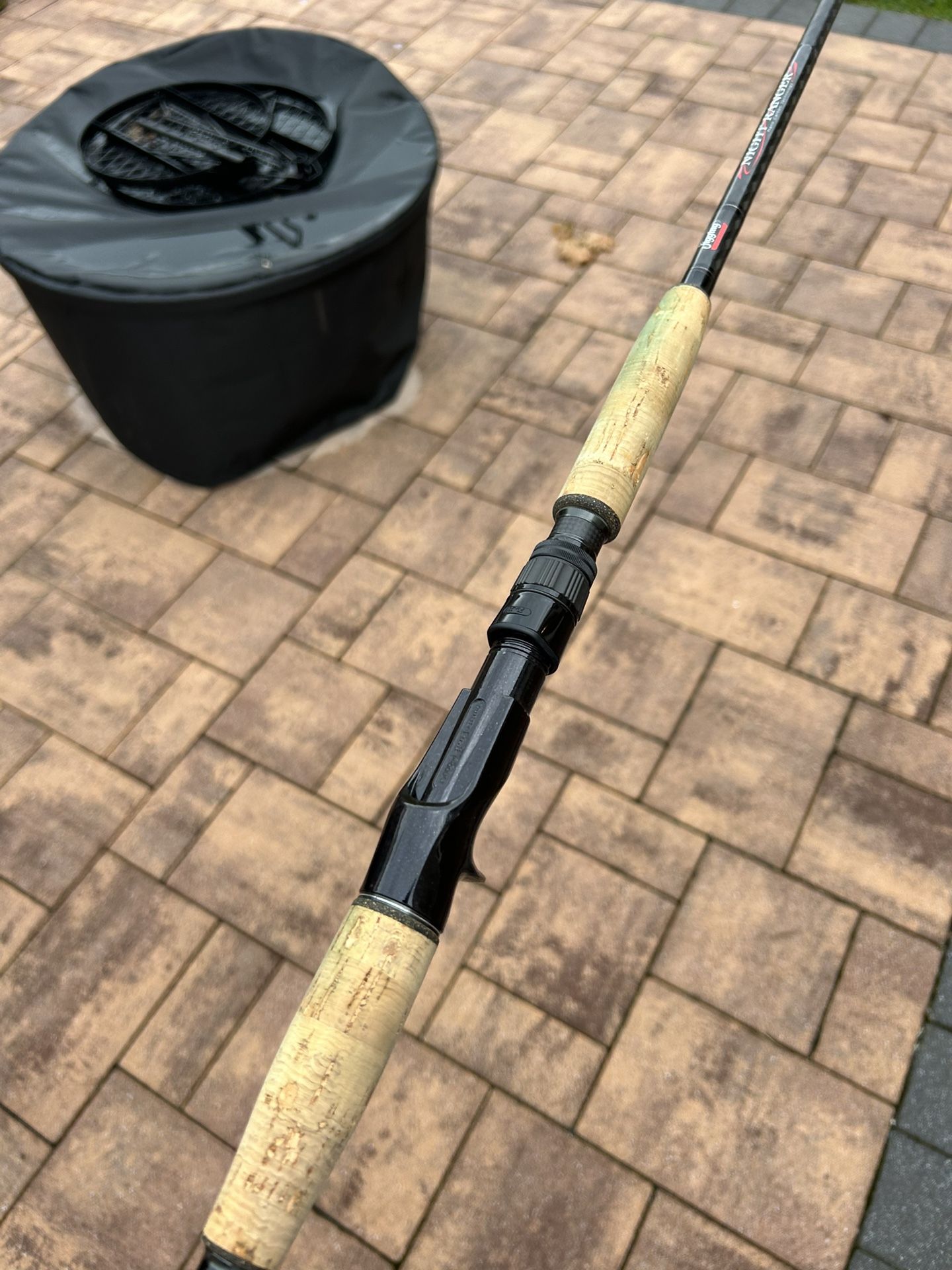 Jigging World Night Ranger Casting Fishing Rod