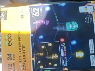 Ecoscapes Cafe Lights