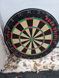 Boar Bristle Dart Board