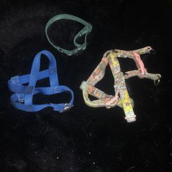 Dog Harnesses And Collar 