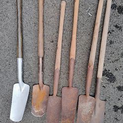 6 Clam Shovel Collection Shovels True Temp