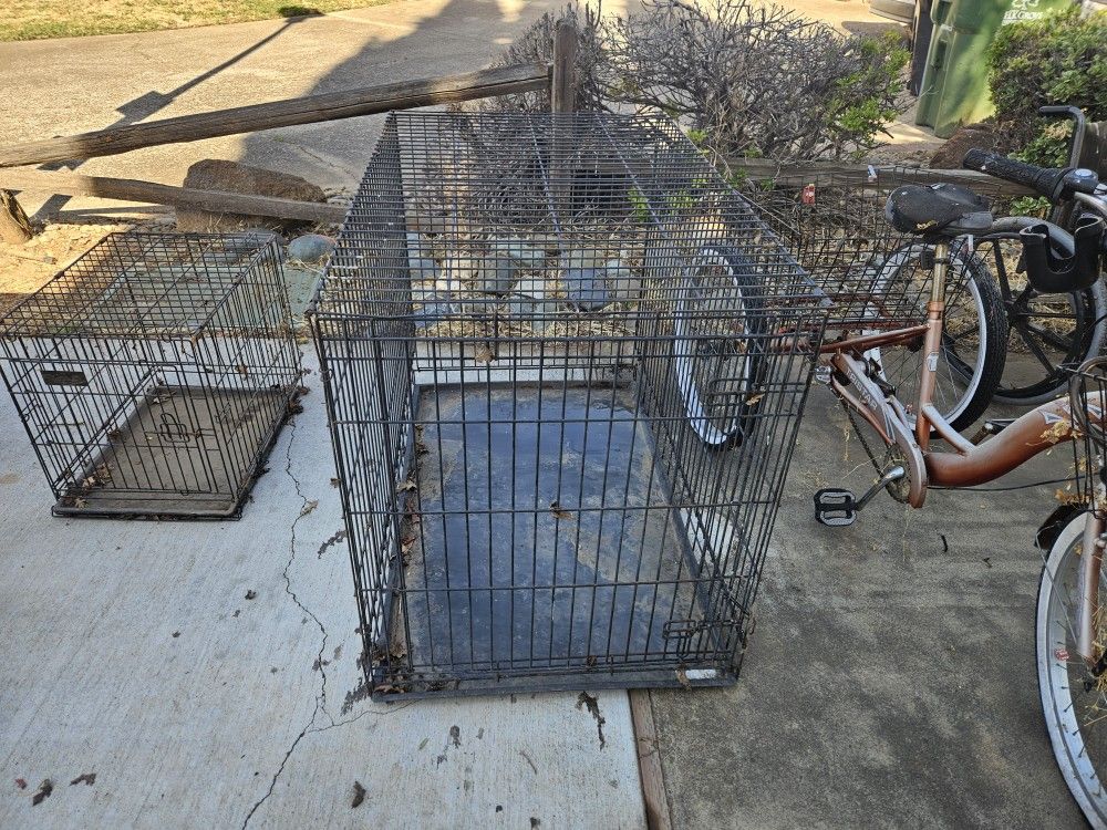 Large Dog Crate