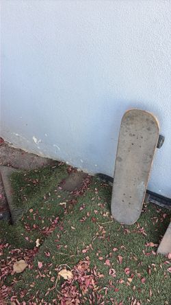 Skateboard