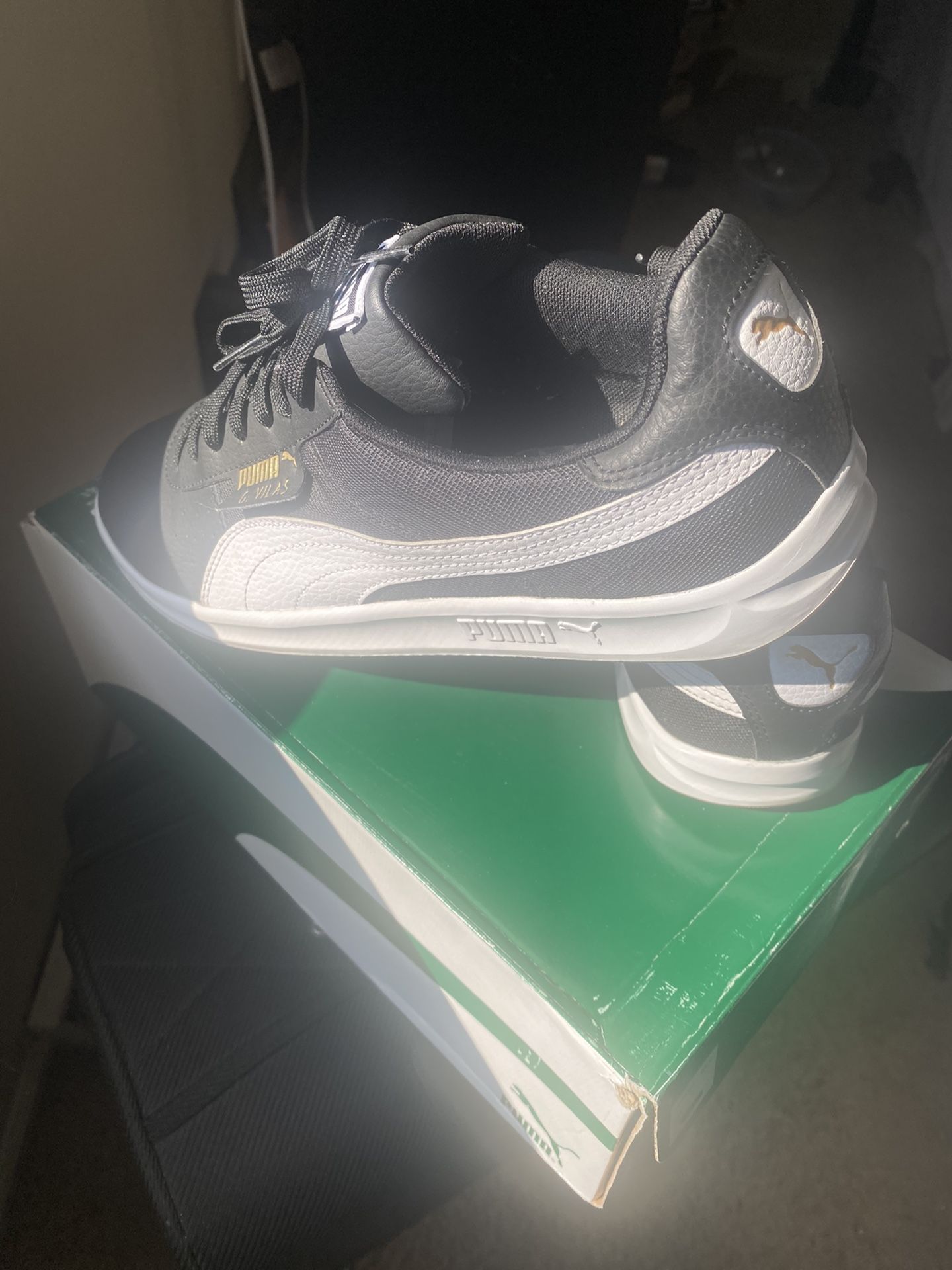 Pumas