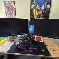 Acer Gaming Dual Monitors