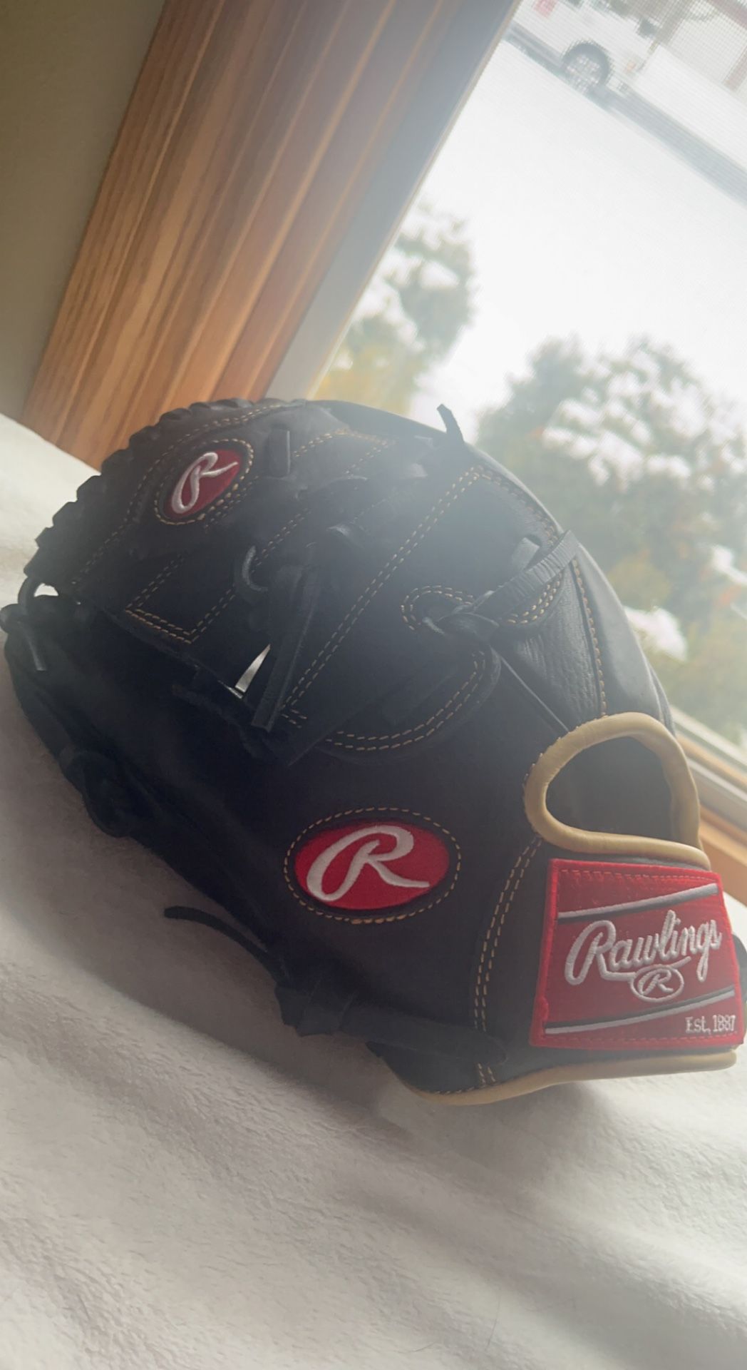 Rawlings Baseball Glove 